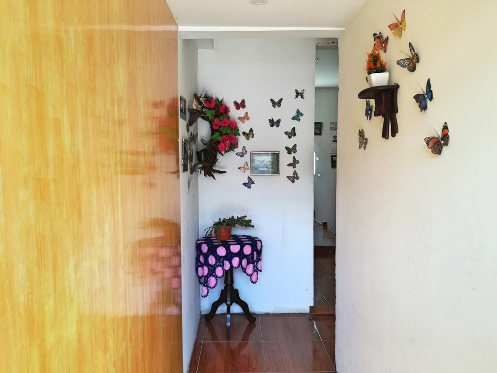 Posada Elenita Salento Bagian luar foto